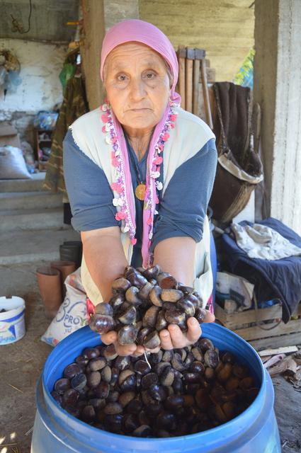 Karpuzlu'da yaşayan kestane üreticisi 67 yaşındaki Habibe Hayıt fiyatların düşük olmasından yakındı.