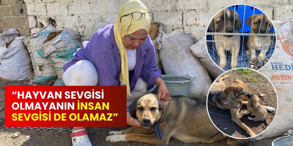 "Hayvan sevgisi olmayanın insan sevgisi de olamaz"