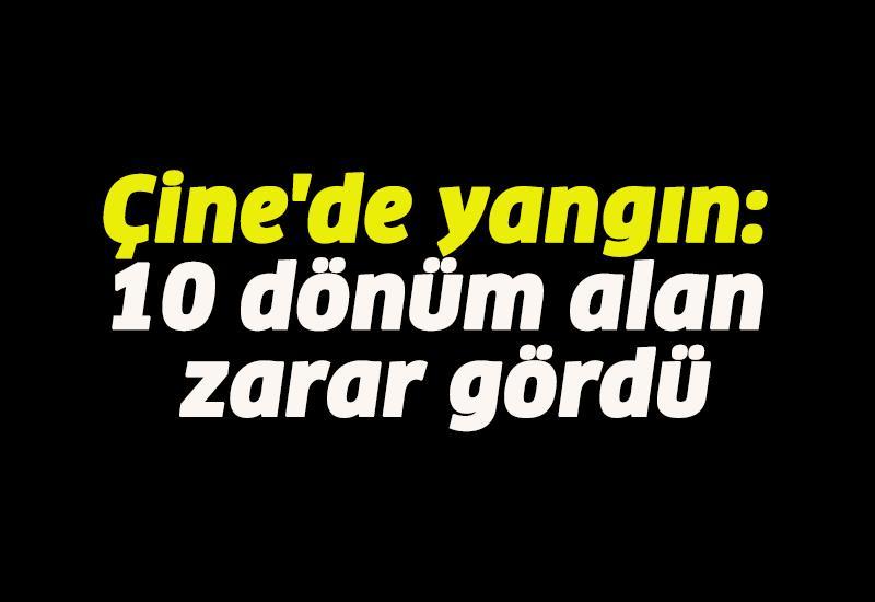 Çine'de yangın: 10 dönüm alan zarar gördü