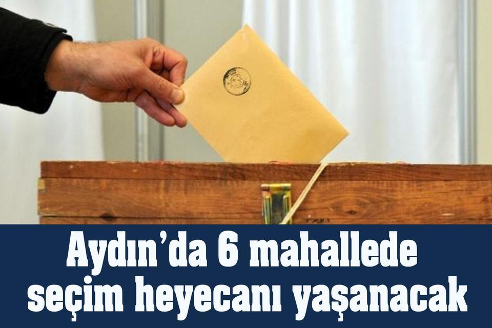 Aydın’da 6 mahallede seçim heyecanı yaşanacak