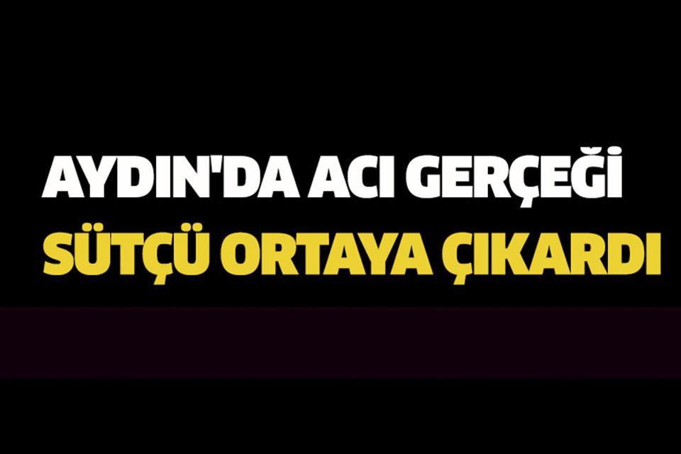 Aydın'da acı gerçeği sütçü ortaya çıkardı