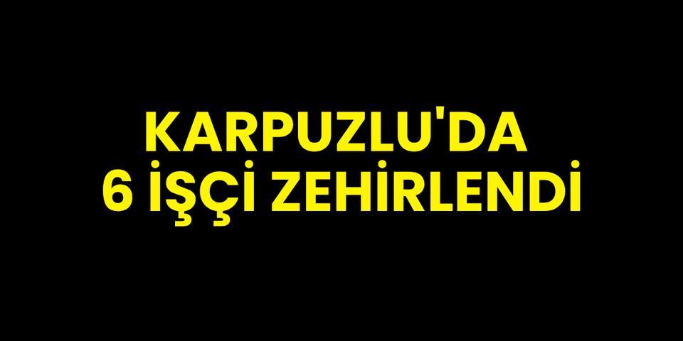 Karpuzlu'da 6 işçi zehirlendi