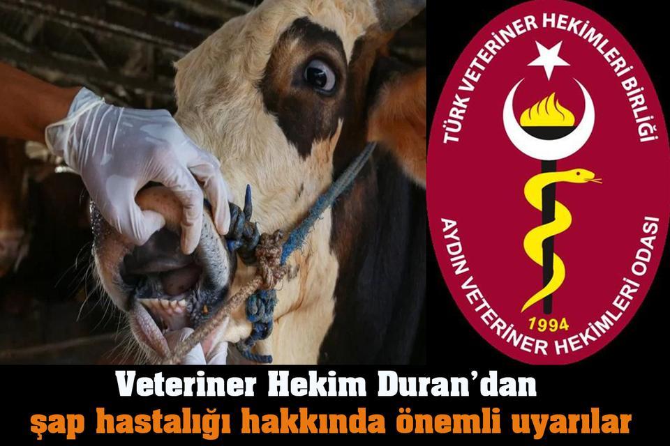 Veteriner Hekim Duran’dan şap hastalığı hakkında önemli uyarılar