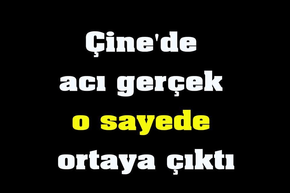 Çine'de acı gerçek o sayede ortaya çıktı
