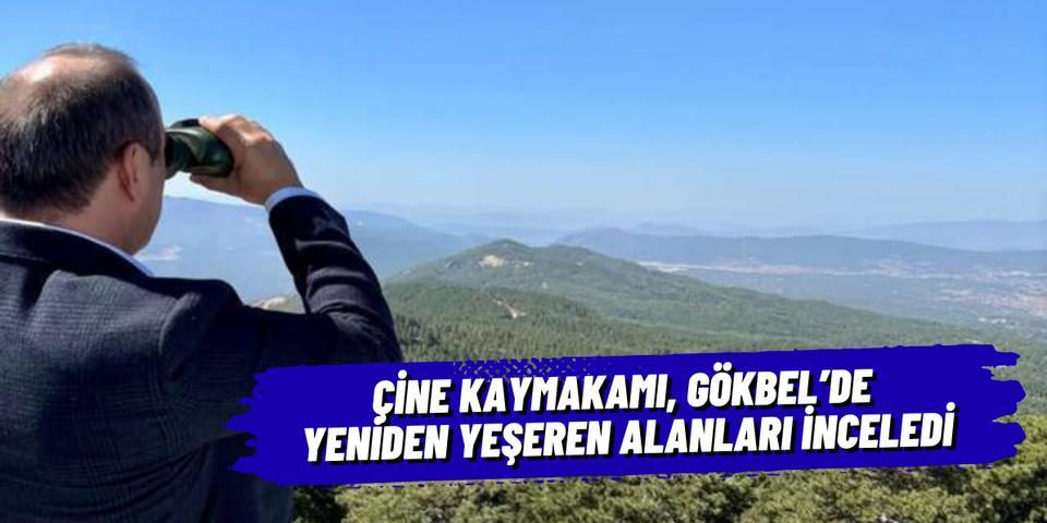Çine Kaymakamı, Gökbel’de yeniden yeşeren alanları inceledi