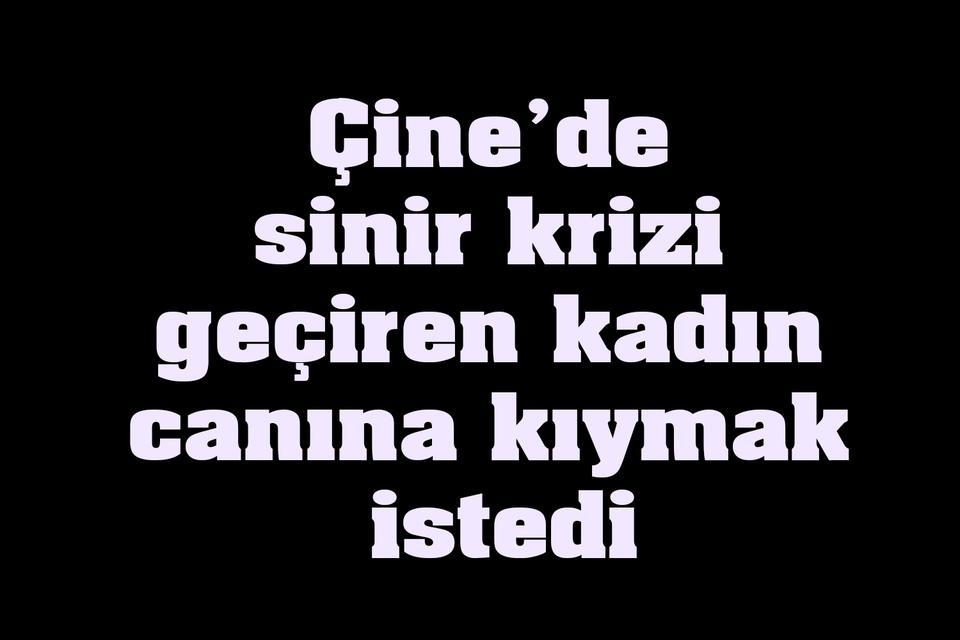 Çine'de sinir krizi geçiren kadın canına kıymak istedi