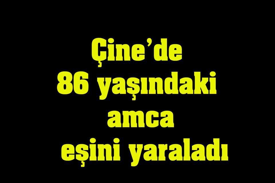 Çine'de akıl almaz olay