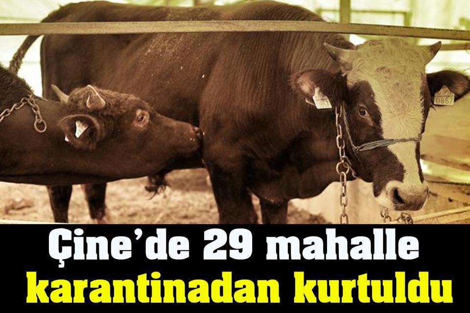 Çine’de 29 mahalle karantinadan kurtuldu